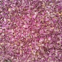 گل محمدی|خوردنی و آشامیدنی|کرج, شهرک آسمان|دیوار