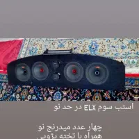 ۴ عدد میدرنج