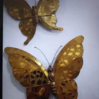 پروانه برنجی