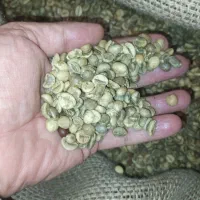 فروش قهوه سبز