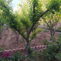 فروش-زمین-مسکونی