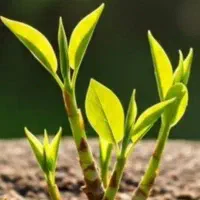 سوالات کنکوری(انسانی)