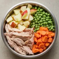 غذای خانگی سگ و گربه