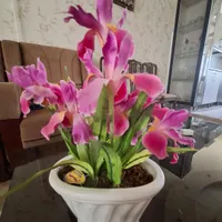 دسته گل مصنوعی|گل مصنوعی|مراغه, |دیوار
