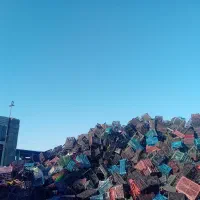 ضایعات سبد. کارتون موزی.