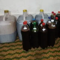 شییه آنگور