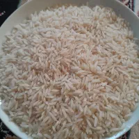 فروش برنج هاشمی الک زده و نیم دانه