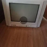 تلویزیون