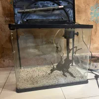 اکواریوم ماهیران