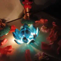 گل مخملی چراغ دار