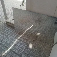 آیینه ب ابعاد ۱۳۳ در۶۴