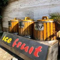 یخچال بشکیی