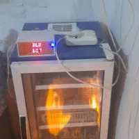 دستگاه جوجه کشی ۲۱۰تایی خیلی کم کارکرد