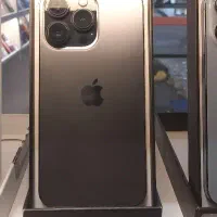 13pro
