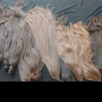 خ عمده گیس