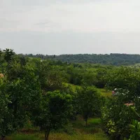 باغ مرکبات با ویو بی نظیر قابل ساخت