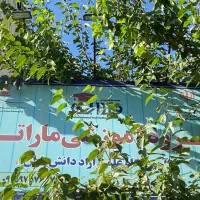 نیروی تماس