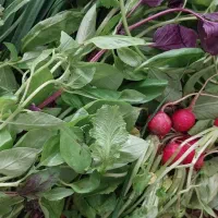 اگر ویزیتور مواد غذایی هستی این اگهی برای توئه