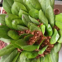 سرای گل آقارضا
