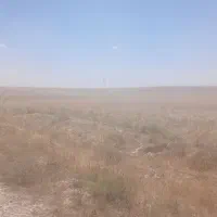 زمین.    کشاورزی ابی پشت کشتارگاه انتهای فلسطین