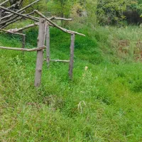650متر-زمین-مستثنیات-باغی-داخل-طرح-روستایی