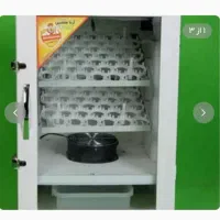دستگاه جوجه کشی