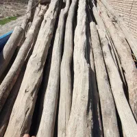 خریدچوب باغات