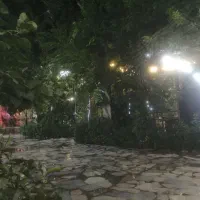 نیروی کار رستوران