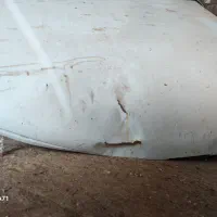 کاپوت فابریک پژو پارس