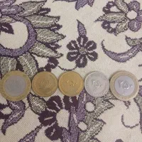 سکه ۵۰  و ۲۵ تومانی