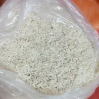 برنج فجر سوزنی اعلای گیلان