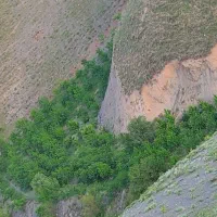 صدهزار متر باغ ..مجانی،،