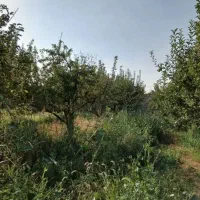 زمین-450-متر-4دیواری