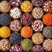 دیگه تو بندر حبوبات رو گرون نخر ،محصولات به شرط
