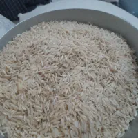 برنج ضیقمی شیروان اصل