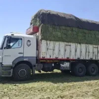 یونجو یونجه پر برگ مخصوص میش و گاو و ...