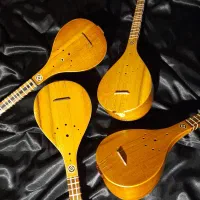 سه‌تار حرفه‌ای