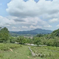 300متر ملک باغی