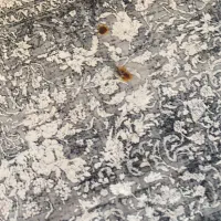 فرش ۹متری|فرش|قم, سالاریه|دیوار