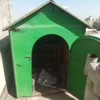 قفس. سالم   و مرتب