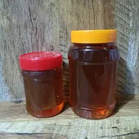 عسل گون