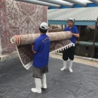 استخدام قالیشویی