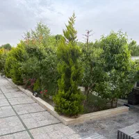 باغ ویلا استخر دار در شهریار