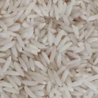 برنج طارم شمال خونگی