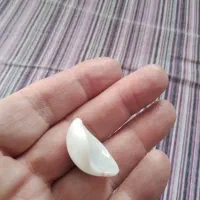 دو جفت یا ۴ عدد پروتز چشم انسان