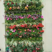 باغبانی باغچه کاری سمپاشی تمام نقاط کرج فوری