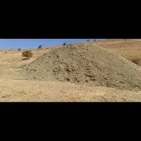گزره علف خوردشده