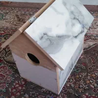 لانه پرنده ، عروس هلندی ، گرینچیک ، برزیلی