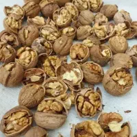 بادام لوبیا چتی کشمش مویز گردو عسل عدس دنبه گوشت