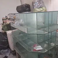 ویترین پاچال